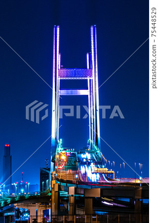 大都會高速公路,灣大橋的夜景 大都會高速公路,灣大橋的夜景 75448529