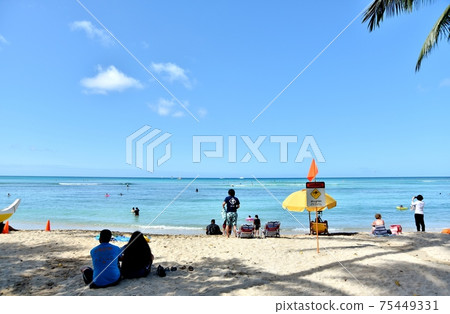 夏威夷的假期 夏威夷的假期 75449331
