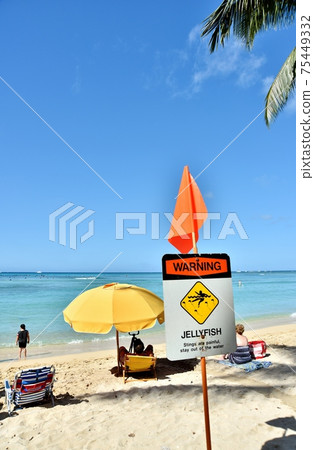 夏威夷的假期 夏威夷的假期 75449332