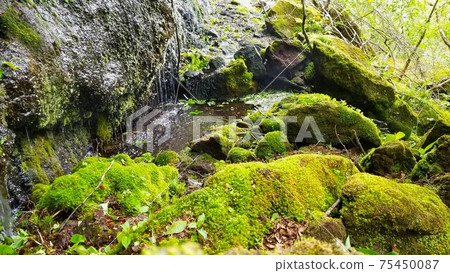 從那須山山坡上的岩石中散發出的秘密溫泉“飯森溫泉遺跡” 75450087