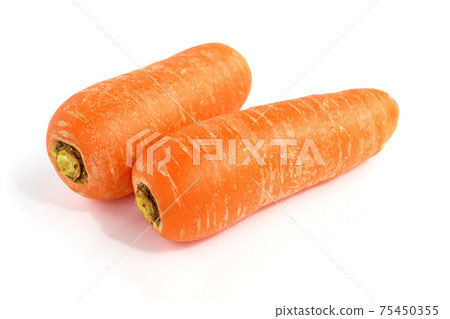 Carrot (carrot under the snow) 75450355