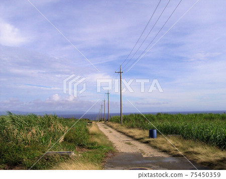 Hateruma, the southernmost island in Japan 75450359