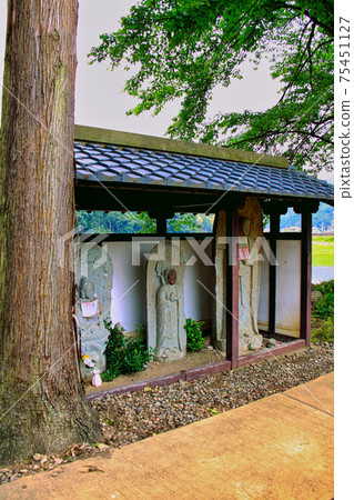 市上谷朝倉遺址-春天 75451127