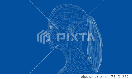 Wireframe portrait of a young beautiful girl Wireframe portrait of a young beautiful girl 75451282