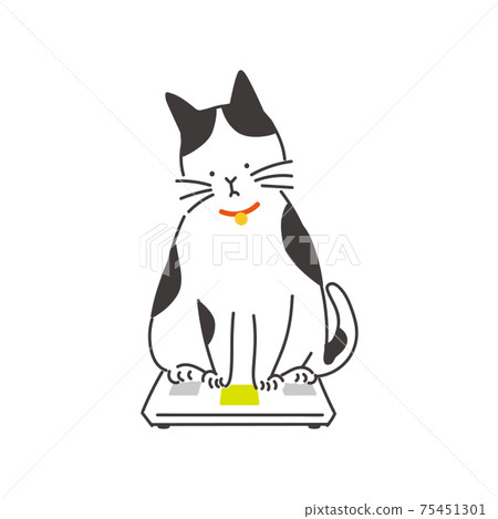 體重秤上的超重貓 體重秤上的超重貓 75451301