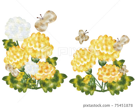 Dandelion, butterfly, fluff 75451878