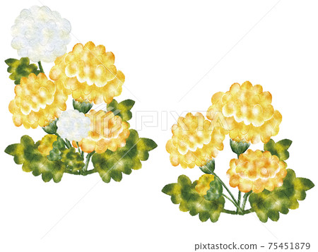 Dandelion · fluff 75451879