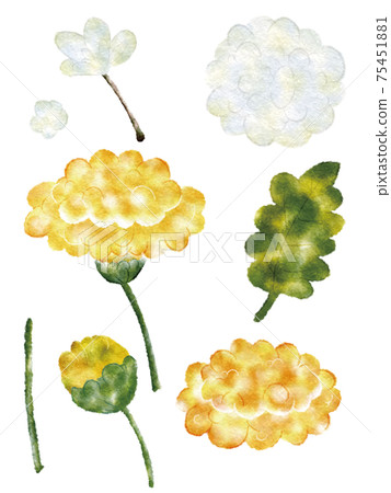 蒲公英一個人 蒲公英一個人 75451881