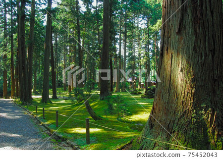 Hakusan Heisenji-Moss Temple Hakusan Heisenji-Moss Temple 75452043