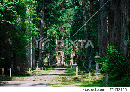 白山黑森寺摩斯寺 75452123
