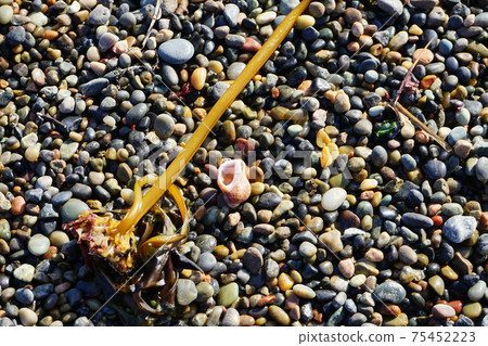 Reconstructed pebbles on the Tofugaura coast Reconstructed pebbles on the Tofugaura coast 75452223