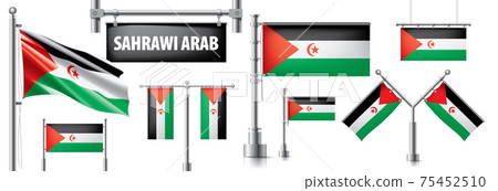 Vector set of the national flag of Sahrawi in various creative designs 75452510