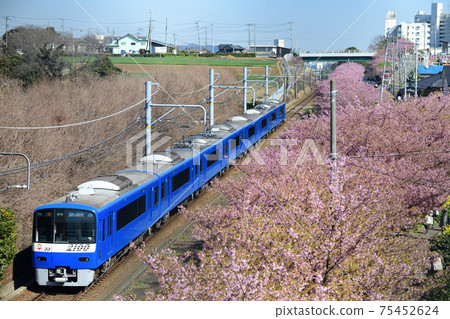 Kawazu Sakura and Keikyu Type 2100 Train Blue Sky Train 75452624