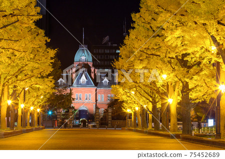 Hokkaido_Red brick old government building and a superb view of ginkgo trees 75452689