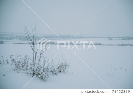 Winter frosty landscape of the river with broken ice 75452829