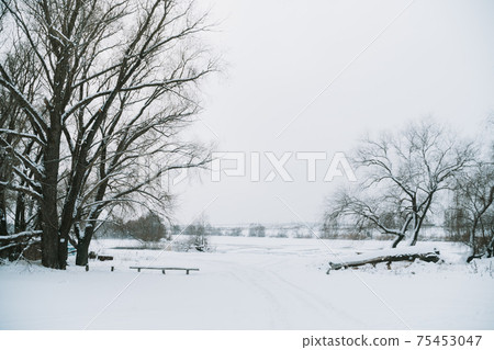 Winter frosty landscape of the river with broken ice 75453047