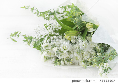 獻花獻花 75453502