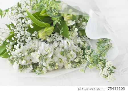 獻花獻花 獻花獻花 75453503