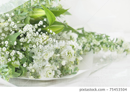 獻花獻花 75453504