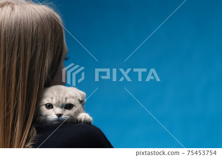 Scottish fold cat sitting on the shoulder of the woman Scottish fold cat sitting on the shoulder of the woman 75453754