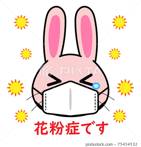 花粉症動物面具兔子印記 插圖素材 圖庫