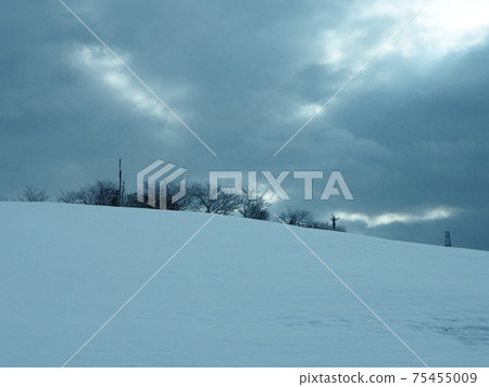 廣闊的白銀世界 75455009