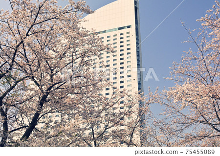Yokohama Minato Mirai Yokohama Minato Mirai 75455089
