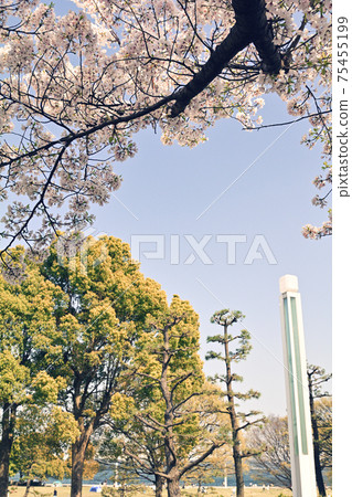 Yokohama Lingkou Park Yokohama Lingkou Park 75455199