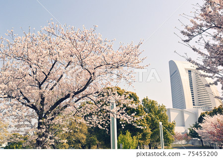 Yokohama Lingkou Park 75455200