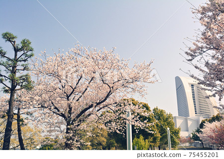 橫濱嶺口公園 橫濱嶺口公園 75455201