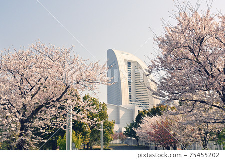 橫濱嶺口公園 橫濱嶺口公園 75455202