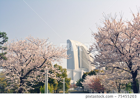 橫濱嶺口公園 橫濱嶺口公園 75455203