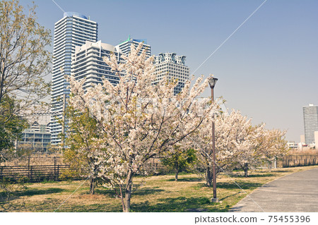 Yokohama Minato Mirai 75455396