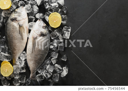 Dorado fish with ice cube on black background. Dorado fish with ice cube on black background. 75456544