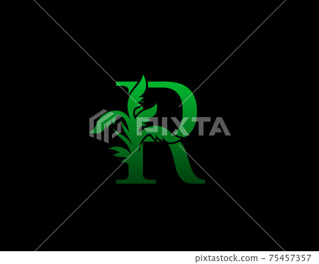 Letter R logo Nature concept, Abstract green tree and leaf symbol, initials R icon natural design Stock Vector Letter R logo Nature concept, Abstract green tree and leaf symbol, initials R icon natural design Stock Vector 75457357