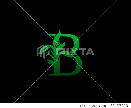 Letter B logo Nature concept, Abstract green tree and leaf symbol, initials B icon natural design Stock Vector Letter B logo Nature concept, Abstract green tree and leaf symbol, initials B icon natural design Stock Vector 75457360