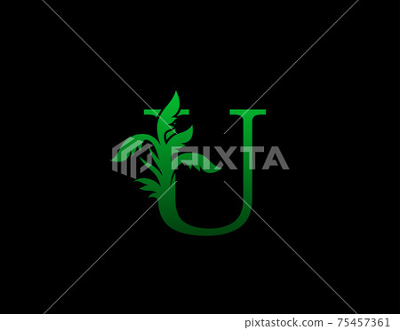 Letter U logo Nature concept, Abstract green tree and leaf symbol, initials U icon natural design Stock Vector Letter U logo Nature concept, Abstract green tree and leaf symbol, initials U icon natural design Stock Vector 75457361