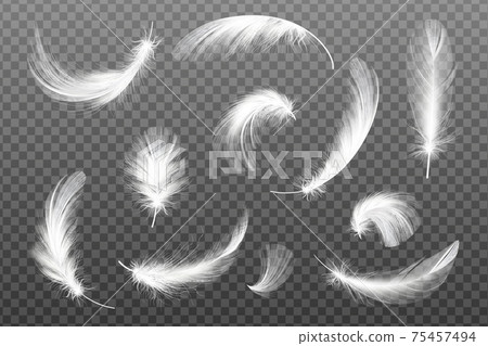 Ecological feather filler for pillows, blankets or down jacket. Ecological feather filler for pillows, blankets or down jacket. 75457494