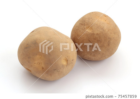 馬鈴薯（北田桂井） 75457859