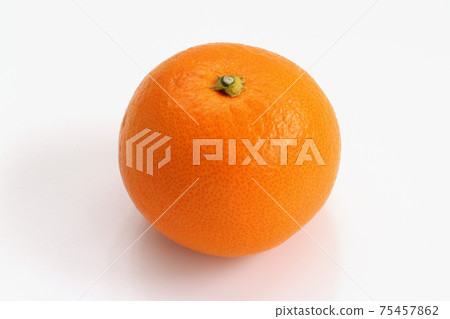 紅雅碩 75457862