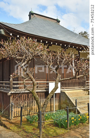 松戶市漫步:本堂寺日蓮宗妙樂堂 松戶市漫步:本堂寺日蓮宗妙樂堂 75458212