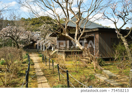 Matsudo City Walk: Hondoji Temple Nichiren Sect Myorodo Matsudo City Walk: Hondoji Temple Nichiren Sect Myorodo 75458213
