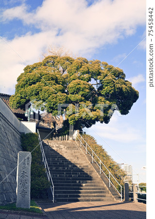 Yokohama · Honka-ji 75458442