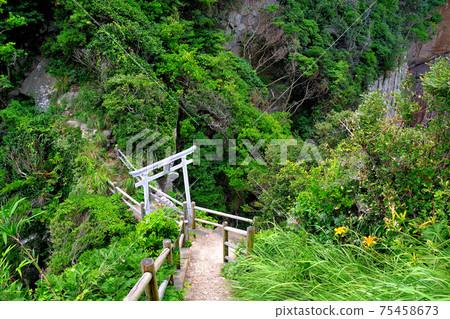 Hakusan Cave, Ashizurimisaki, and the well-maintained stairs leading down to the cave, and the torii gate of Hakusan Shrine, Tosashimizu City, Kochi (3) Hakusan Cave, Ashizurimisaki, and the well-maintained stairs leading down to the cave, and the torii gate of Hakusan Shrine, Tosashimizu City, Kochi (3) 75458673