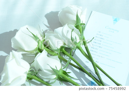 Flowers Flowers 75458992