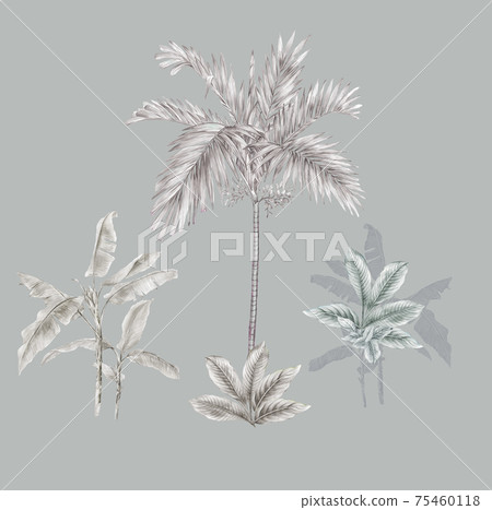 Colorful floral material combinations and design elements Colorful floral material combinations and design elements 75460118