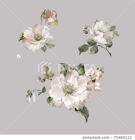  色彩豐富的花卉素材組合和設計元素 75460122