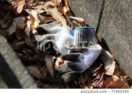Gunte gloves littering image 75460494