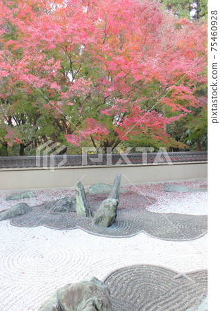 Autumn leaves of maple and rock garden of dry landscape garden 75460928