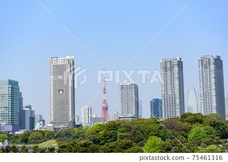 Cityscape: Skyscrapers in the city center and Tokyo Tower in the background of Hamarikyu Garden, Minato-ku, Tokyo 75461316